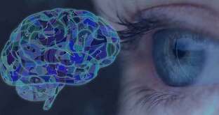 Мозг взломан