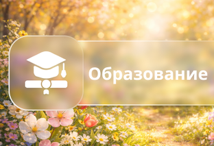Образование 