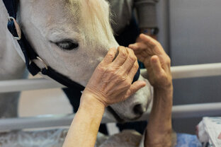 Волонтерство