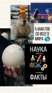 5 фактов о... 