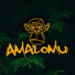 Музыка от Amalomu