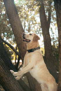 Съемки Кости