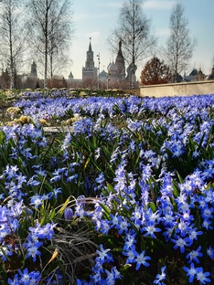 Весна 2026 в Москве