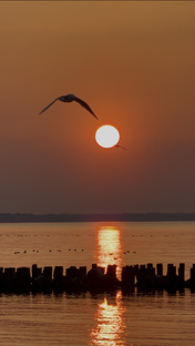 Записки о жизни на Балтийском Побережье