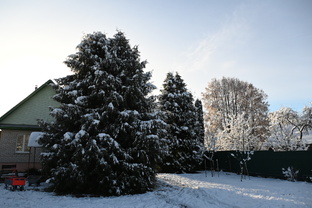 ДЕРЕВЕНСКАЯ ЖИЗНЬ