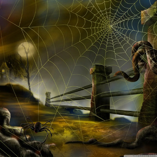 Ритуаы-чистки от паучей и жабьей порчи.