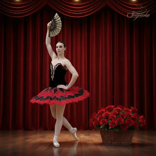 Балетная пачка китри