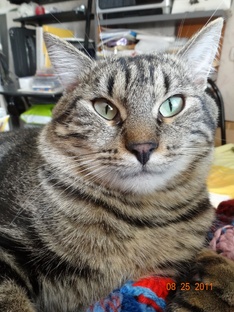 наши младшие друзья