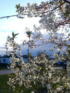 Хорошо иметь домик в райцентре