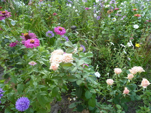 КИРИНЕЯНИН