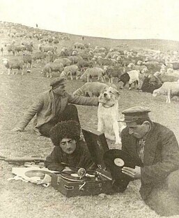 Виниловая прослушка