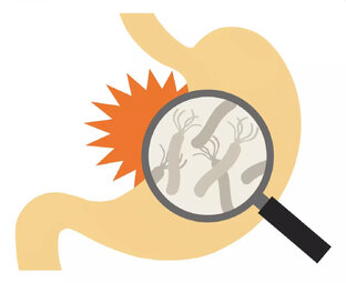 Хеликобактер