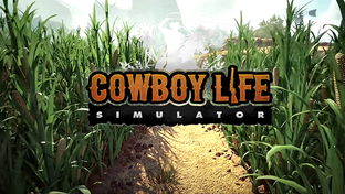 Cowboy Life Simulator