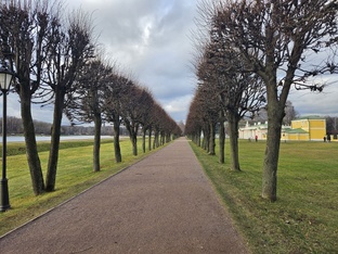 Вдохновение работой профессионалов