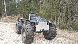 Каракат по имени Гаврюша. 
