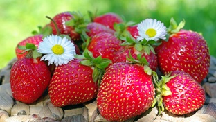 Что нужно знать летом. Полезные советы