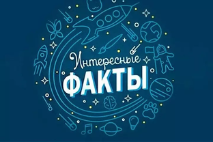 Интересные факты