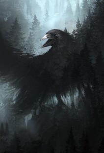 "Тени воронов".