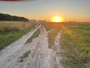 Интересное о природе🌳