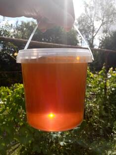 Моё пчеловодство 