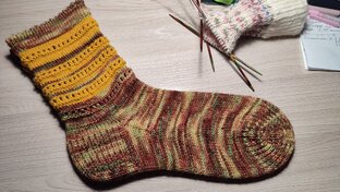 СП"Носочки_с_Таней_2024".