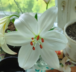 Статьи просто про жизнь