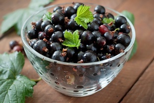 Секреты выращивания ягод на даче и в теплице