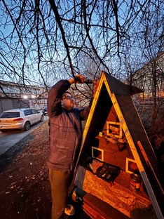 Домик для кошек 