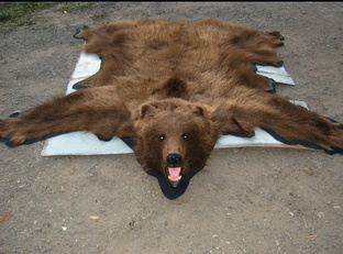 мои работы участия в выставках 