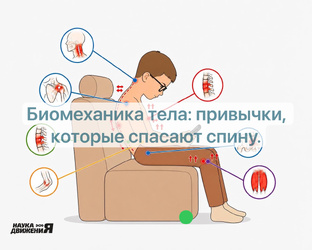 Биомеханическая коррекция / осанка
