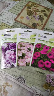 Семенамаркет2024