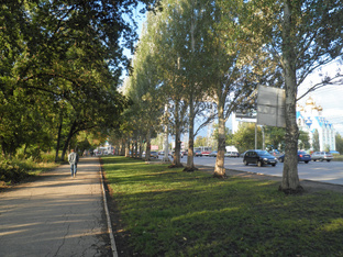 Проза жизни.