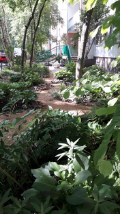 Озеленение у многоэтажки