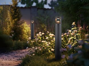 Ландшафтное освещение