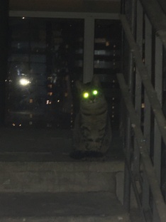 Психология