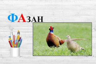 Согласный звук Ф. Закрытый слог. Открытый слог.