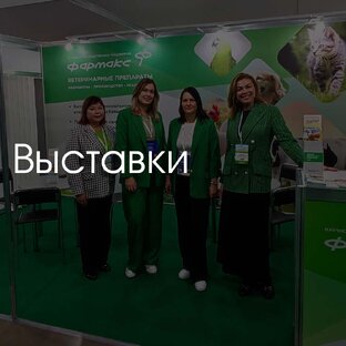 Выставки