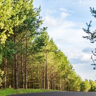 Особенности участков