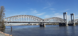 Записки петербурженки