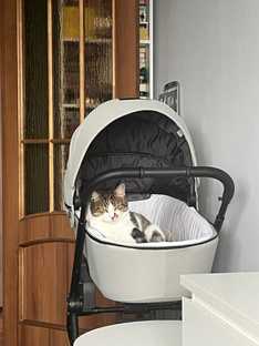 Декретные будни