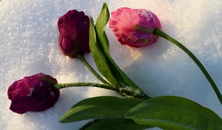 Фотогалерея