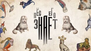 «Пёс его знает»