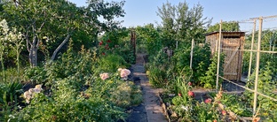 Разглагольствования 