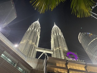 🇲🇾 Малайзия