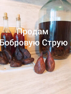 Бобровая Струя это здоровье человека
