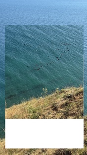 Анапа и все что с ней связано