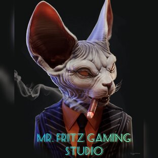 MR. FRITZ GAMING STUDIO