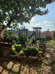 Как менялся мой сад