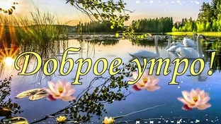 Утро всегда доброе!