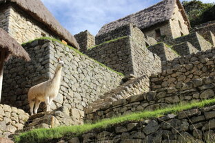 Строительство при неофеодализме